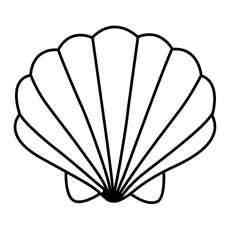 shell