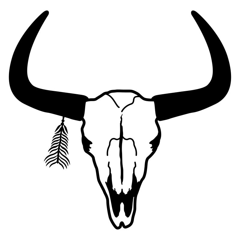 crâne d'animal