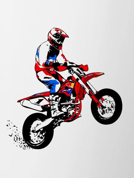 Supermoto Racer