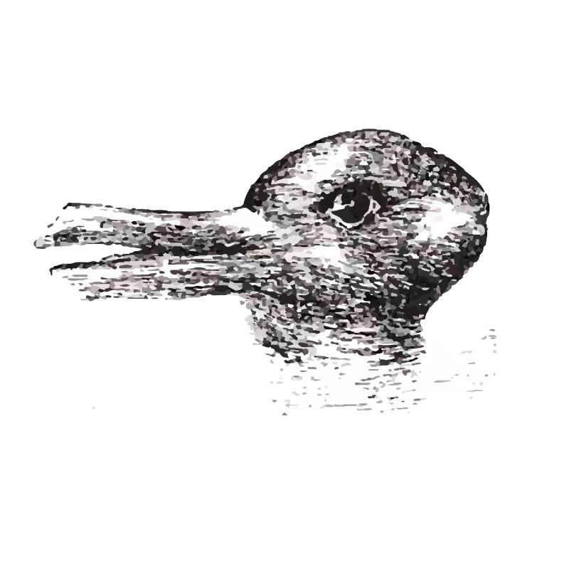 canard ou lapin