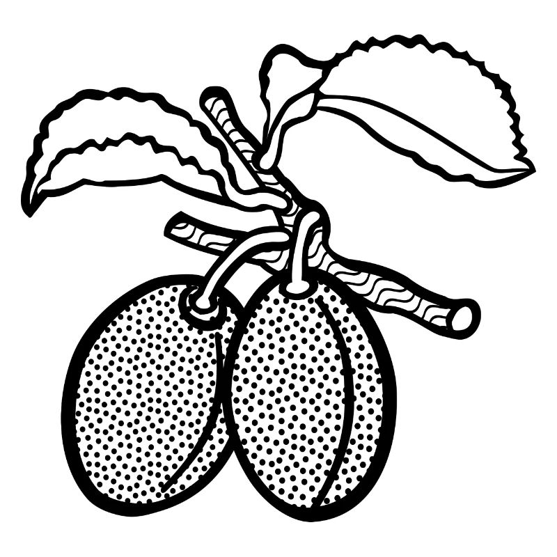 plum lineart