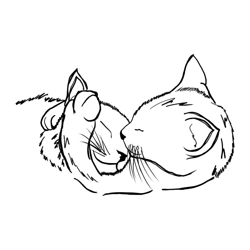 Chat - chat - chat