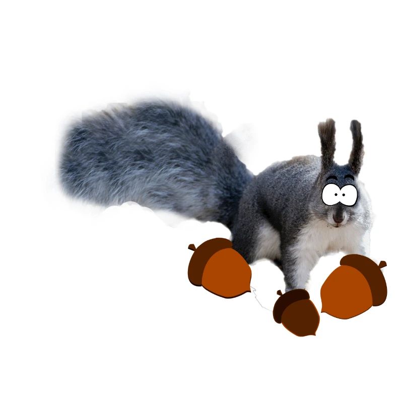 Cartoon squirrel