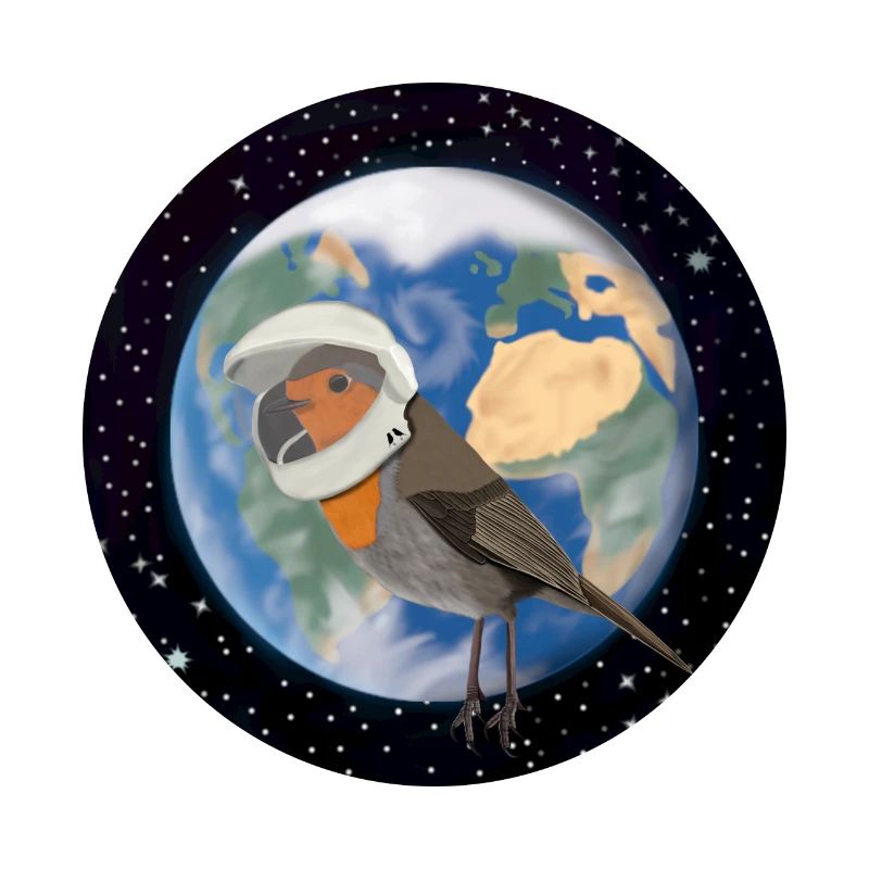 Robin des oiseaux en tant qu'astronaute dans l'espace