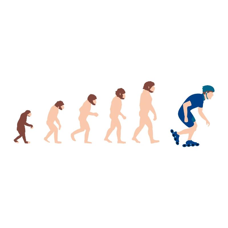 Evolution Inline Skates Funny gift idea