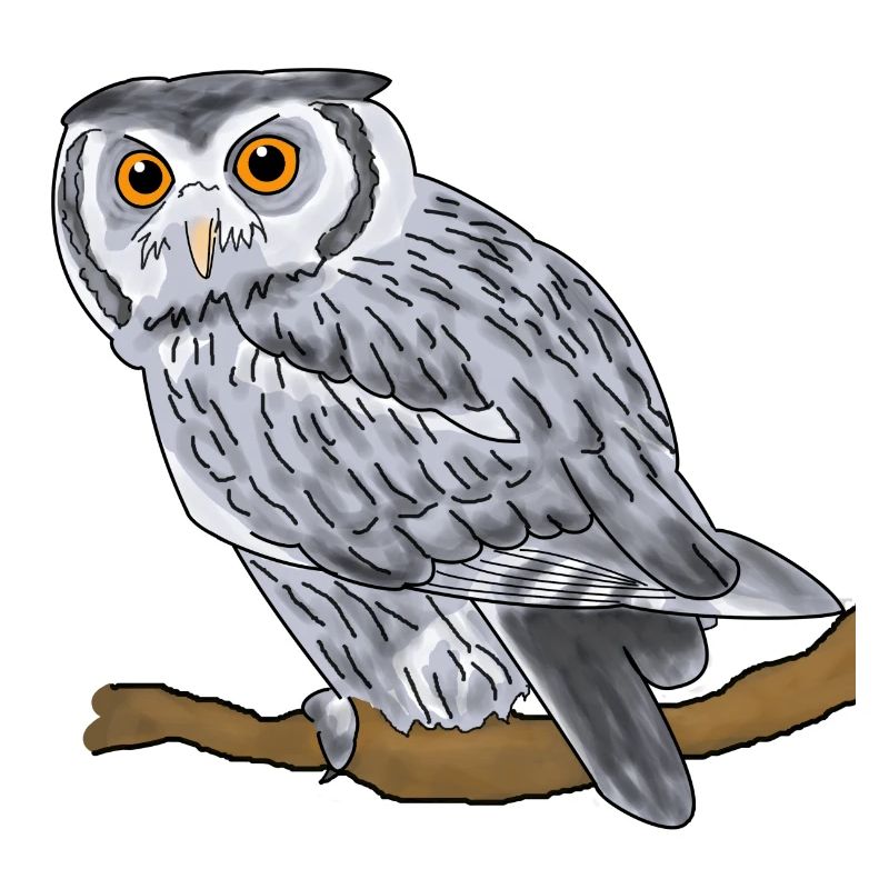 Uhu, Eule