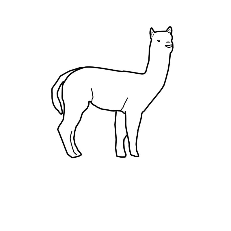 alpaka