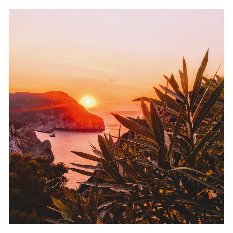 Ibiza sunset