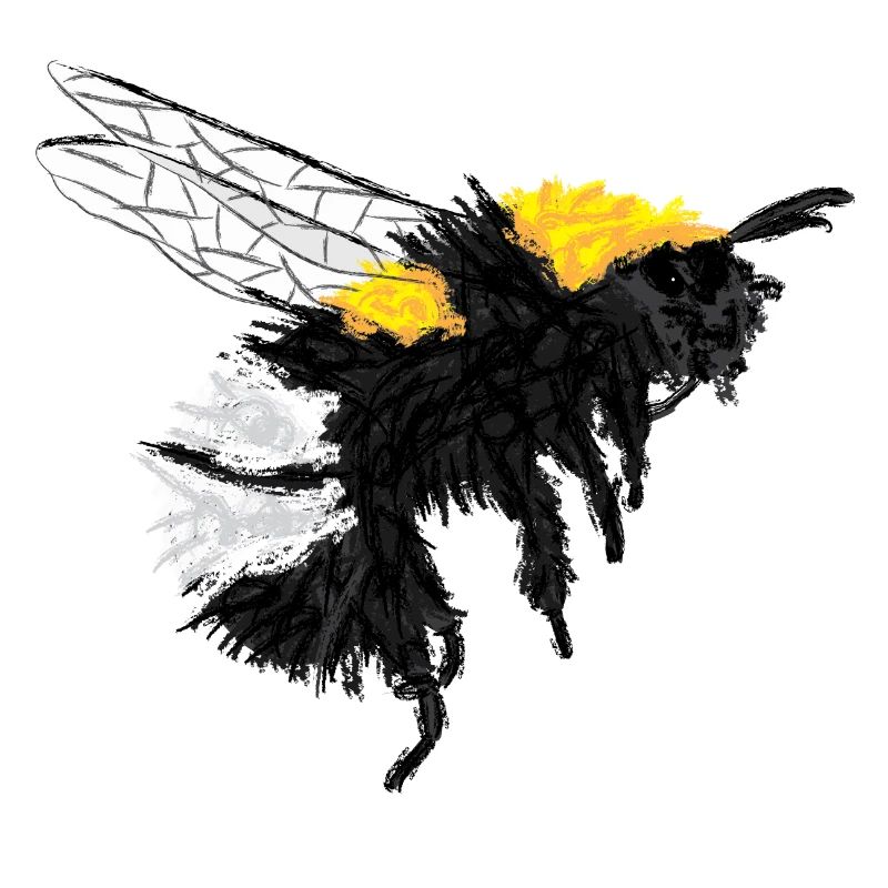 Hummel / Bumblebee Design I
