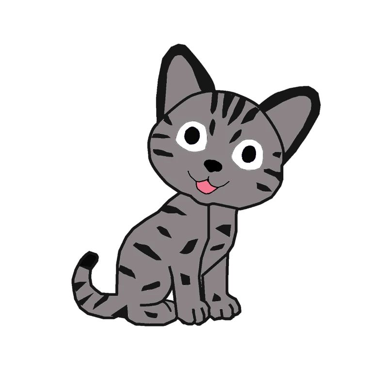 Chat