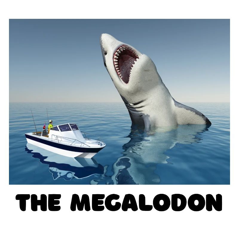 Le requin Megalodon