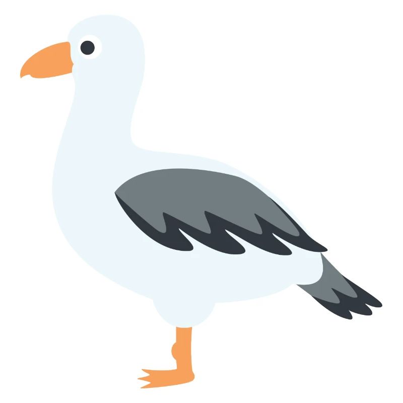 mouette