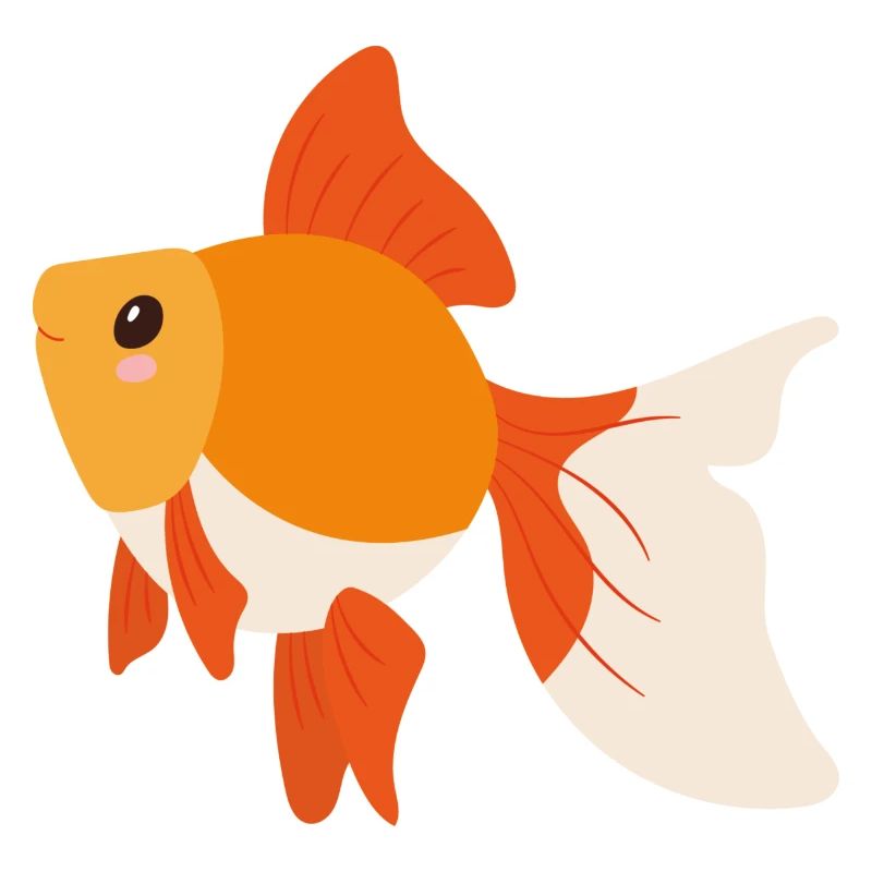 Poisson rouge