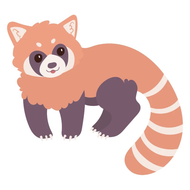 Red panda