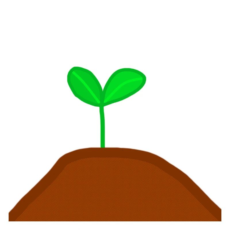 Petite plante nature pousse