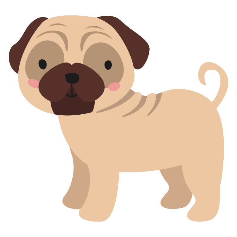 pug