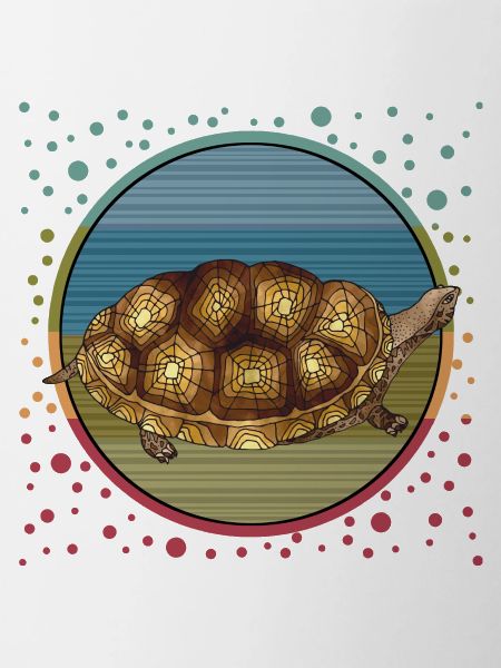 Tortue