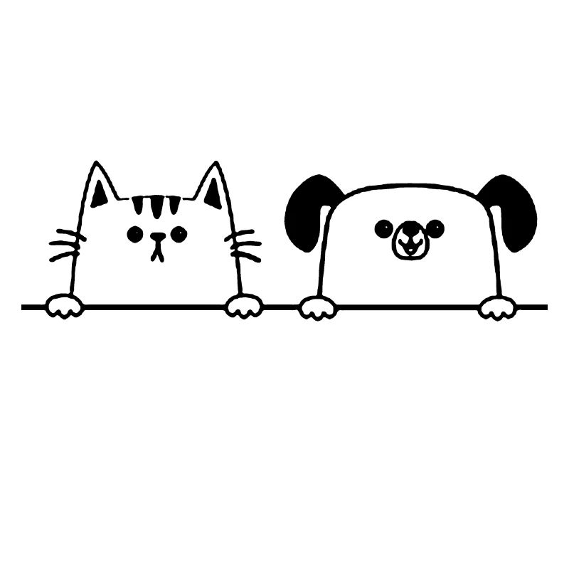 chat chien
