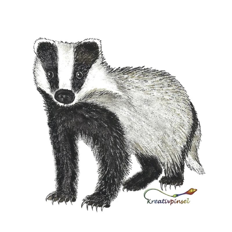 Badger