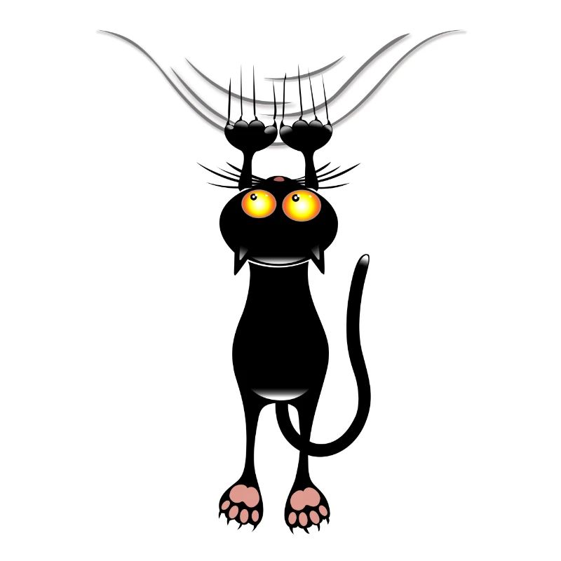 égratignure de chat