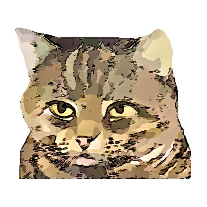 Katze