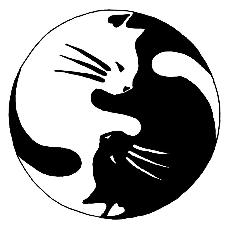Chat Yin Yang