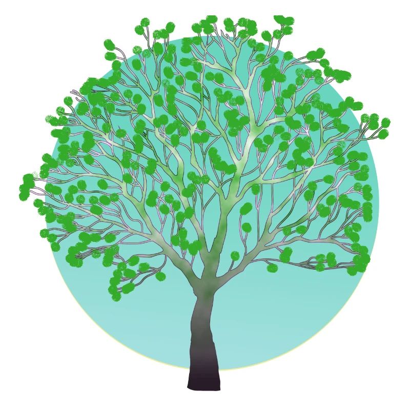 Arbre vert au printemps