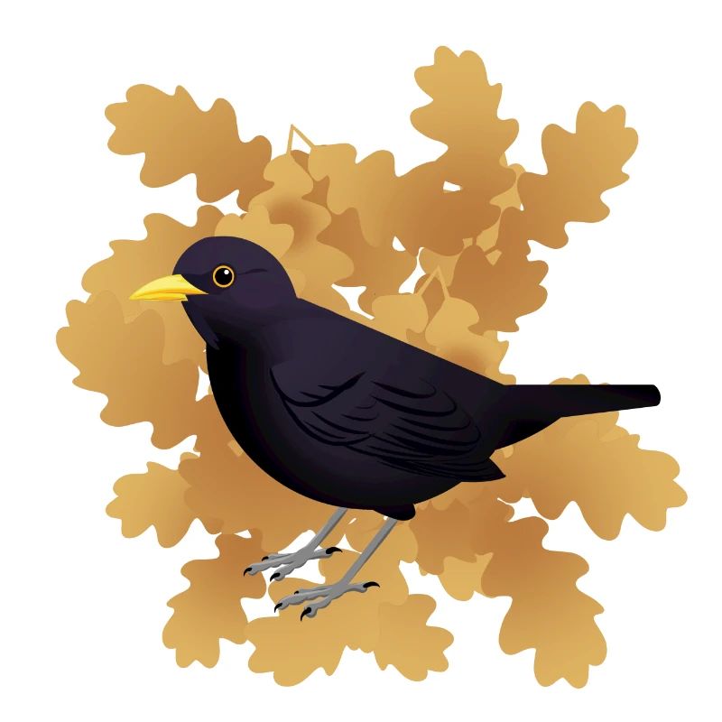 Amsel auf Herbstlaub