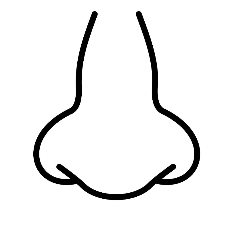 nose