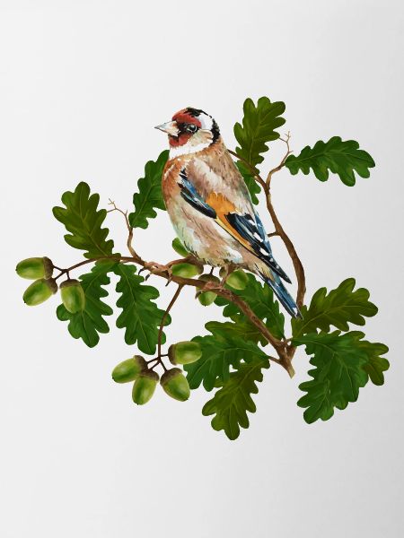 Oiseau