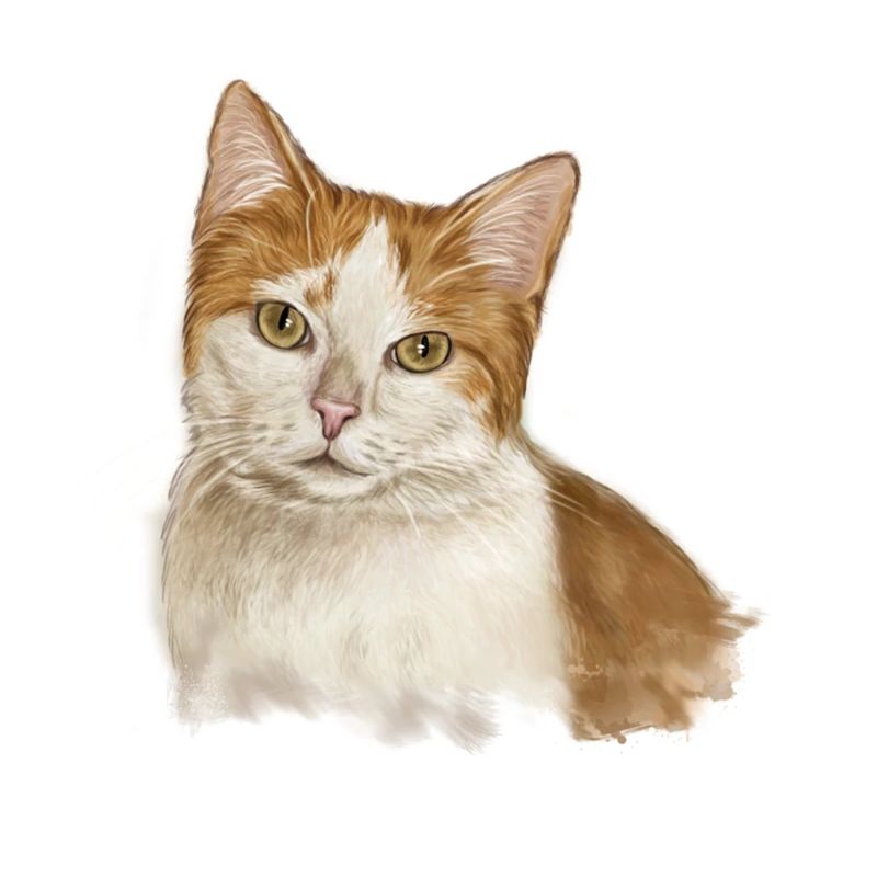 chat Marie