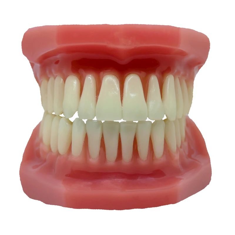 Teeth