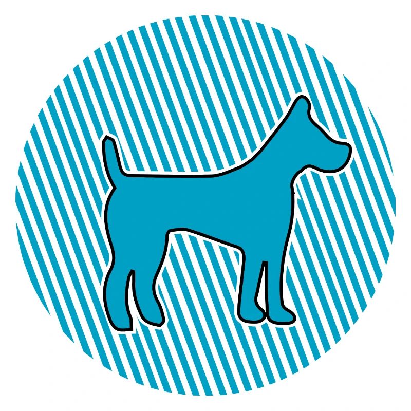 Chien chien