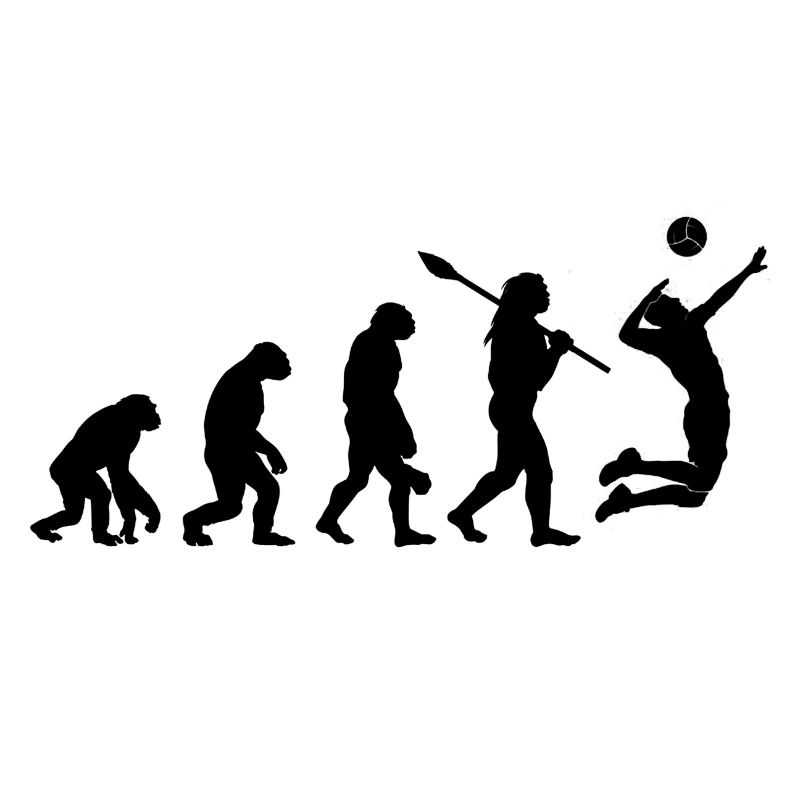 Human evolution volleyball sport