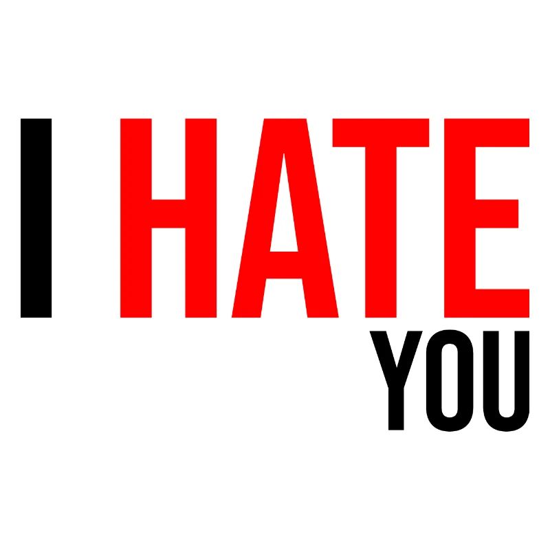 I hate you humor gift
