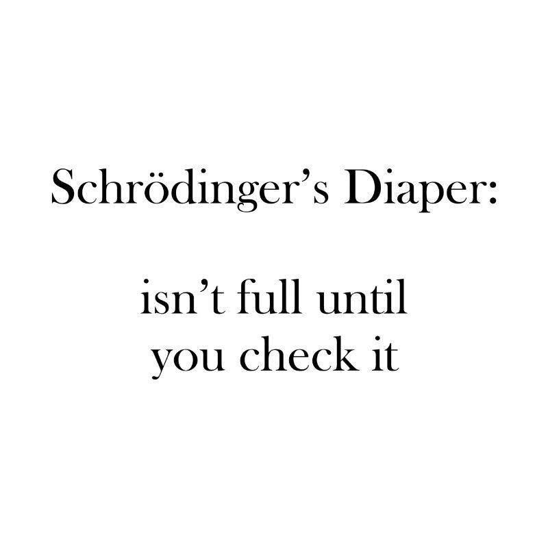 Schrödinger's diaper PhD student gift