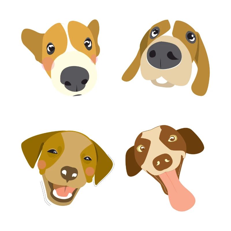 Cute cute cute dog