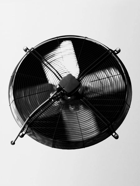 FAN