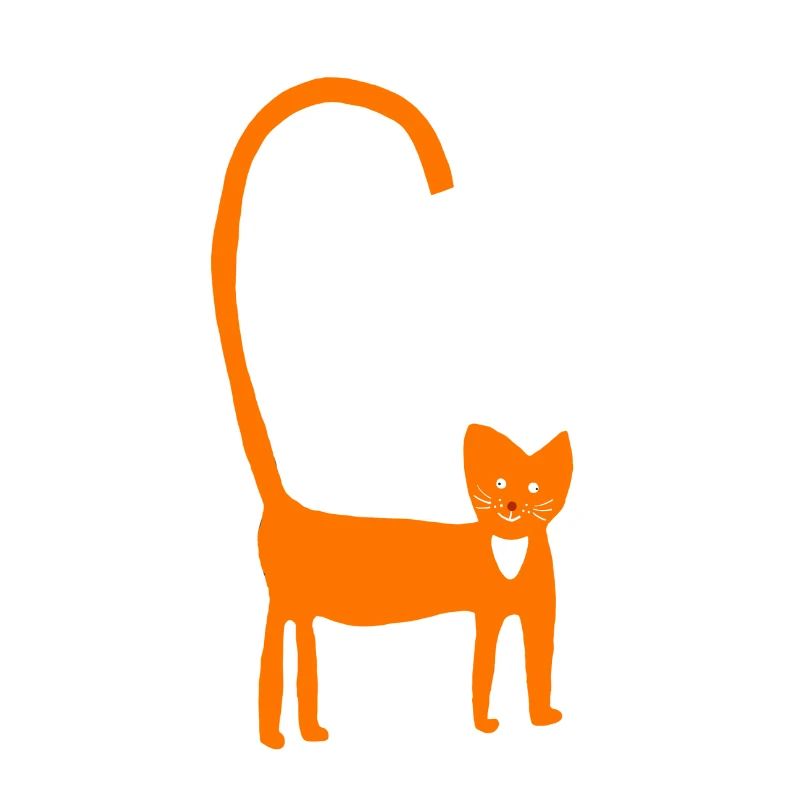 Chat en orange
