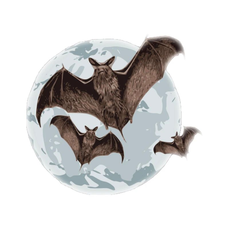 Fledermaus