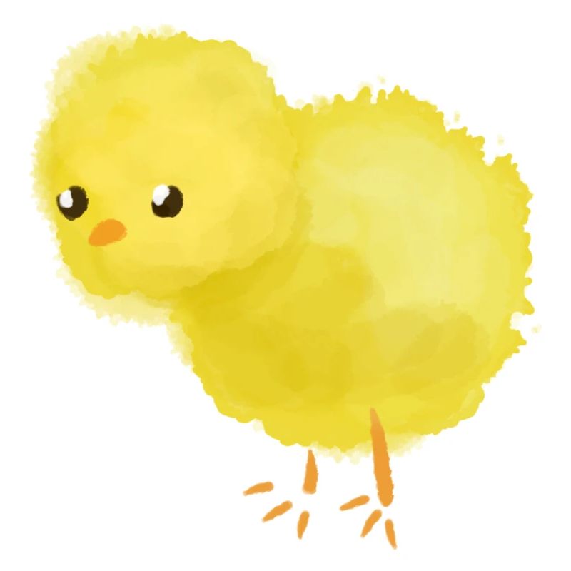 Chicks