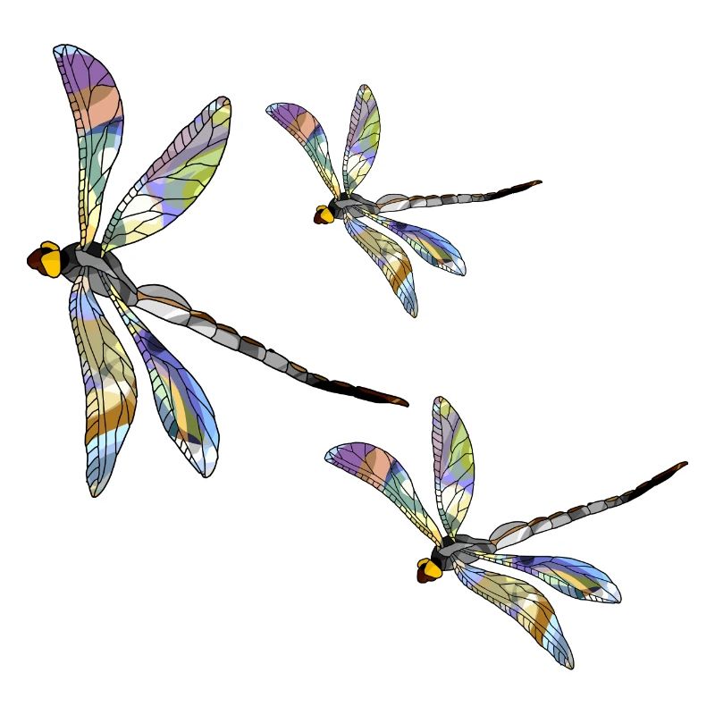 Wiege