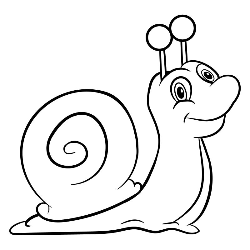 Snail Funny Kids