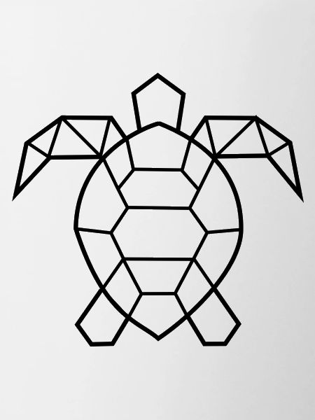 Turtle geometric