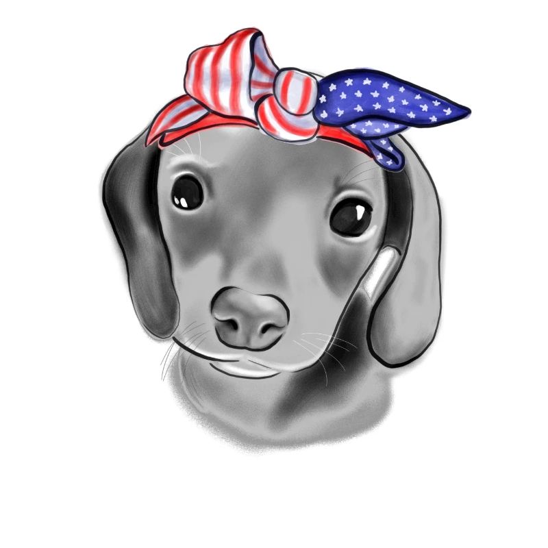 Chien avec bandage de drapeau des États-Unis