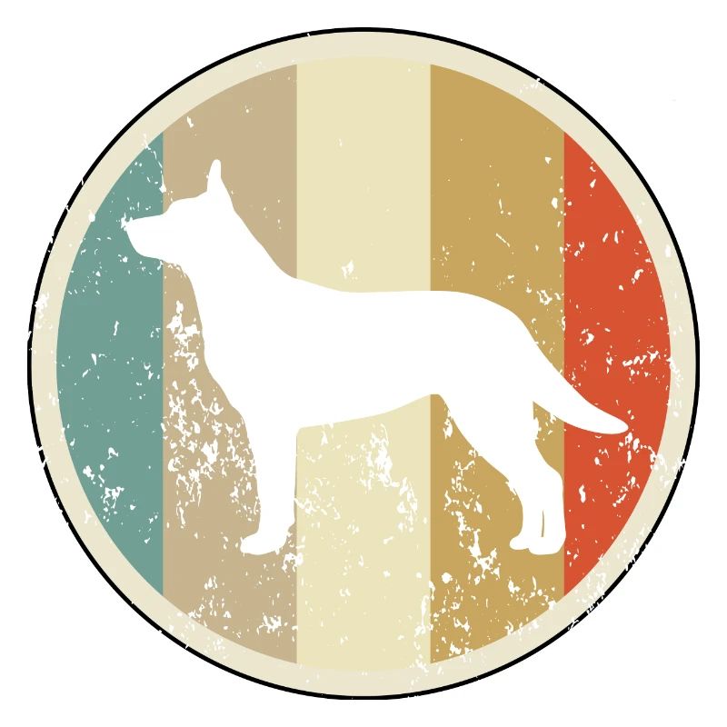 Australischer Australian Kelpie