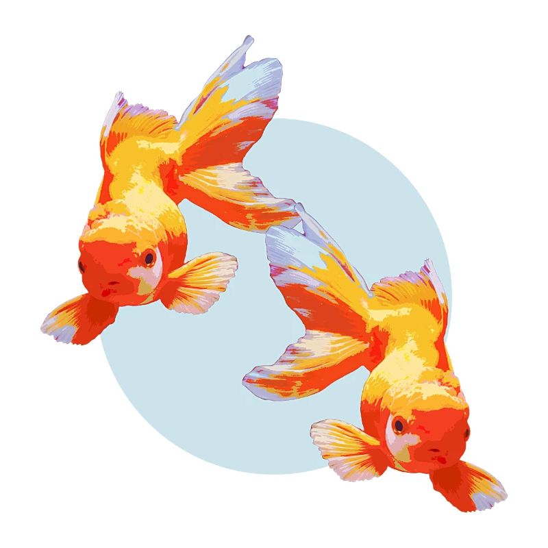Goldfish