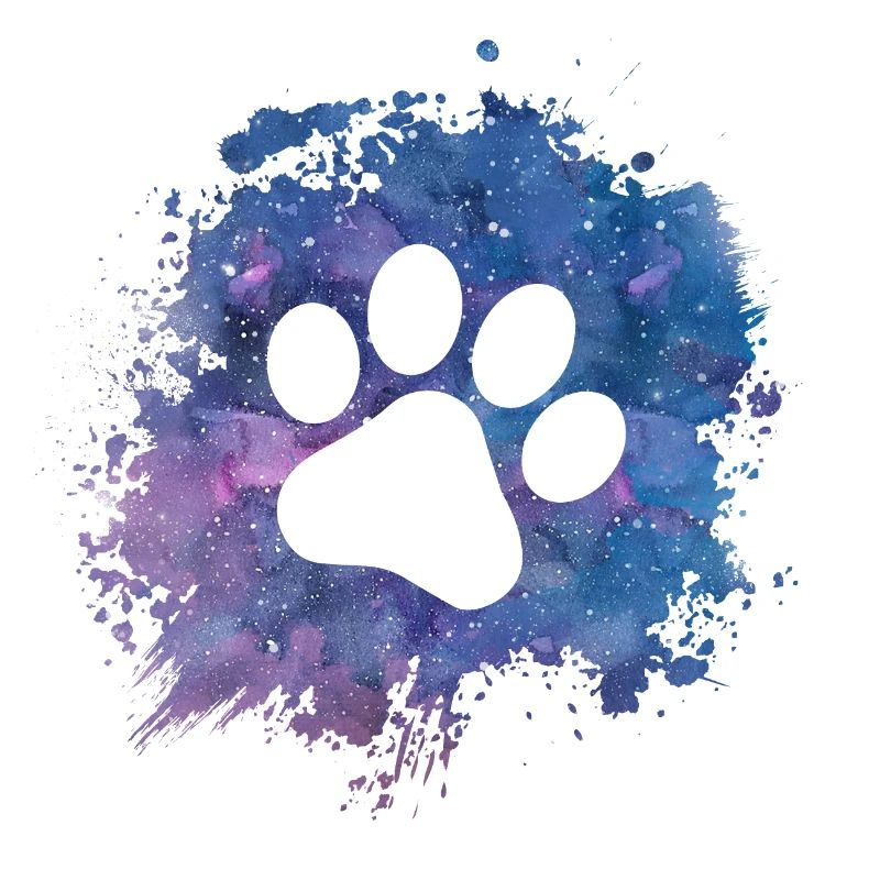 Empreinte de pattes de chien Pattes Galaxy propriétaire de chien