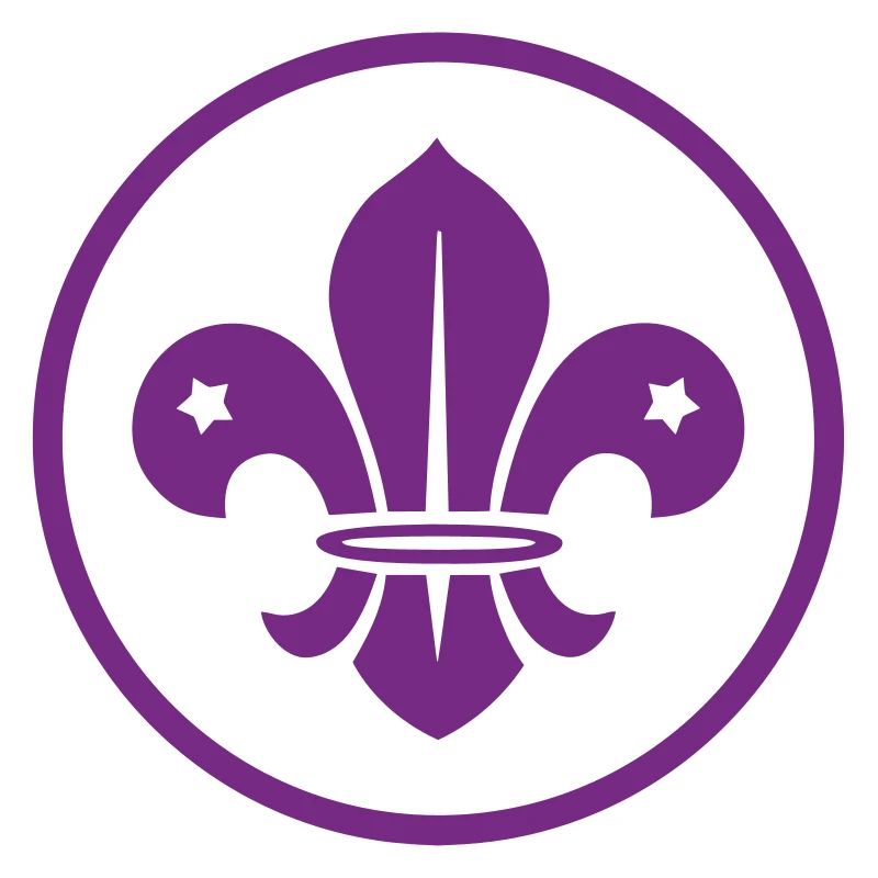 Scout / Scouting