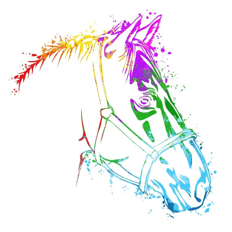 Pferdekopf Bunt Pferd Pferde